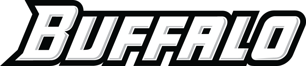 Buffalo Bulls 2007-Pres Wordmark Logo v2 iron on transfers for fabric